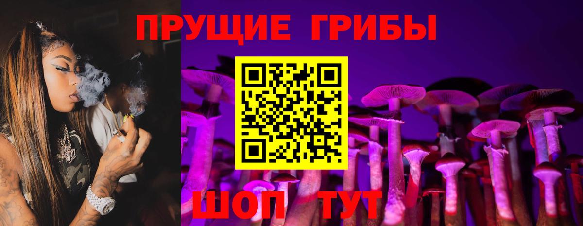 Великий Новгород  Галлюциногенные грибы Magic Shrooms  Вход с VPN 