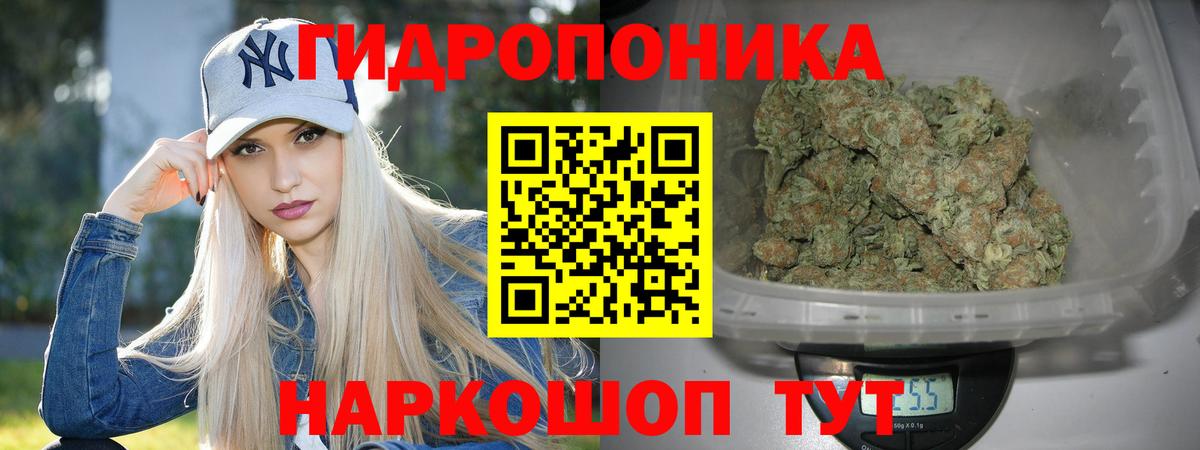 Конопля план  Бошки марихуана планчик  МАРИХУАНА LSD WEED  Великий Новгород  Вход с VPN 